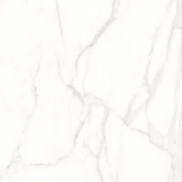 A135578 articul-A135578