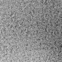 articul-A293791