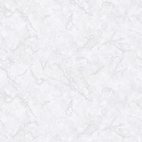 articul-A313648